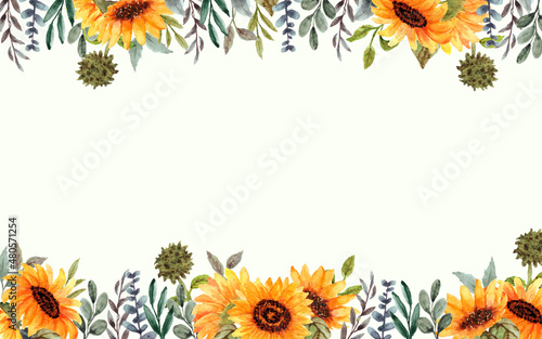 hand drawn sunflower background