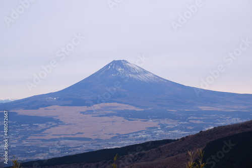 伊豆スカイラインの富士山
