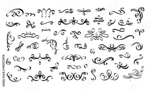 Swirl wedding ornament. Calligraphy flourish vintage outline elements. Typography border line. Black ink spiral and scroll drawing. Elegant curve dividers. Vector filigree graphic set