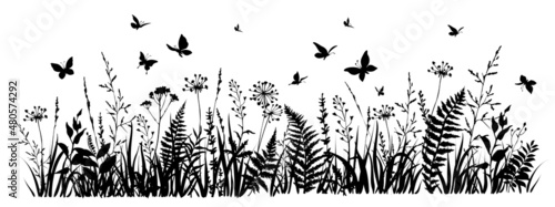 Meadow herbs and flying butterflies. Flowering summer or spring field. photo