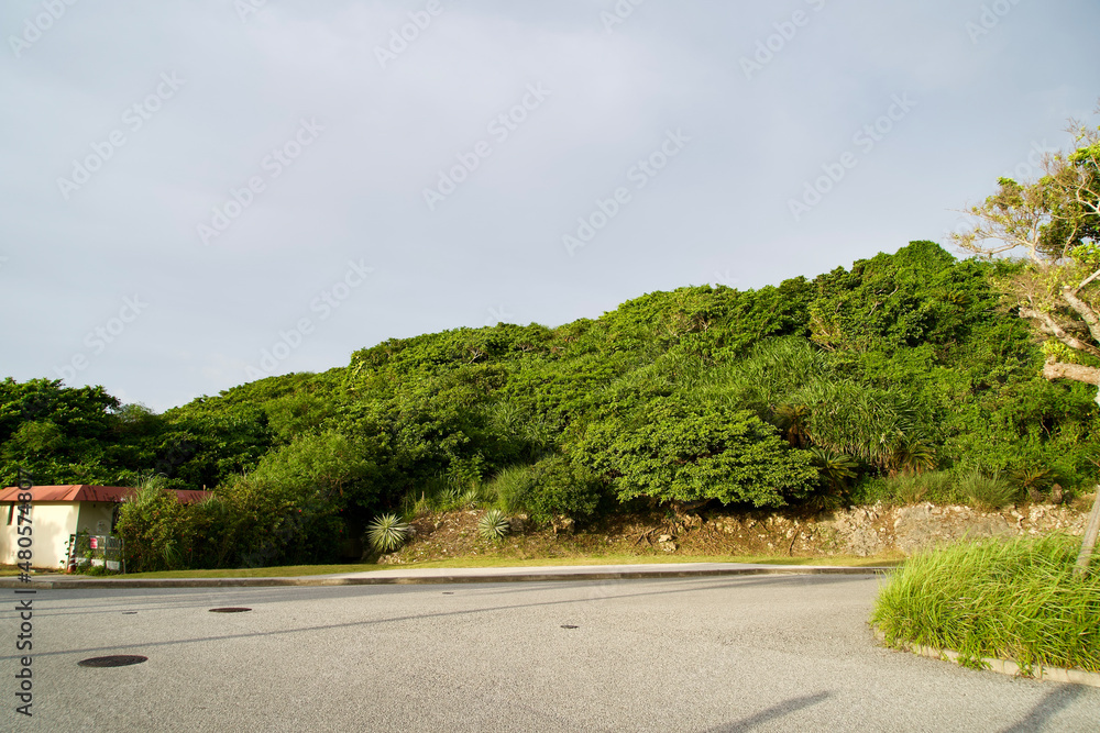 The asphalt square and plants at National Okinawa Perk. The asphalt square and plants at National Okinawa Perk.