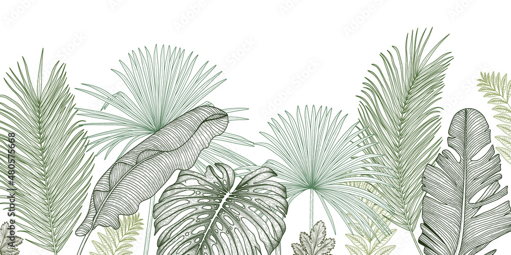 Vector illustration of the jungle. Graphic linear green palm and banana leaves - obrazy, fototapety, plakaty 