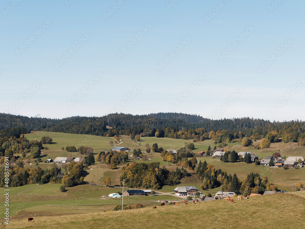 Fototapeta premium Ibach im Hotzenwald Südschwarzwald. Schwandwald und Kirschspielwald-Ibacher Moss. Naturpark Dörfer Oberibach und Unteribach, Weiler Mutterslehen, Gehöft Lindau, Haus Ibachersäge und Wüstung Neuenzell