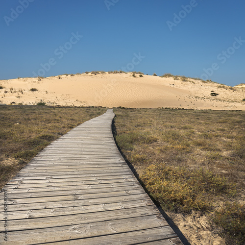 Shifting Sand Dunes Natural Park in Corrubedo  Galicia  Spain