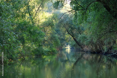 A river channel with forest in Danube Delta, Romania