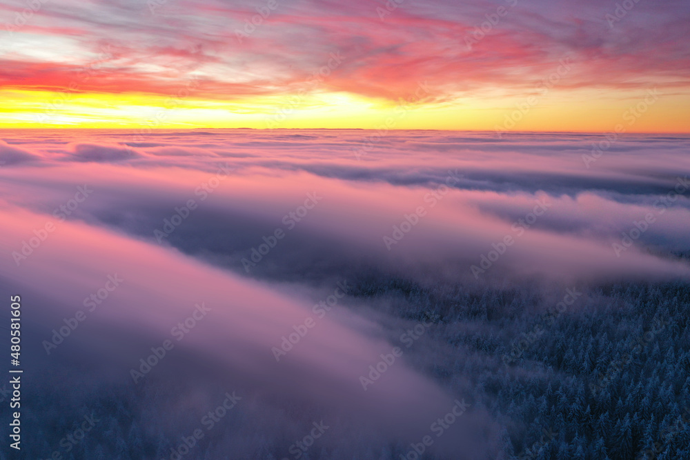 Nebelwolken ziehen über den Wald im Winter