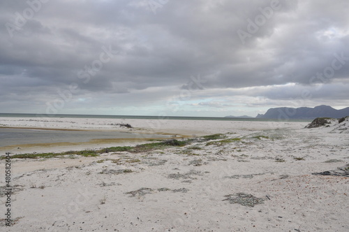 beach and sea