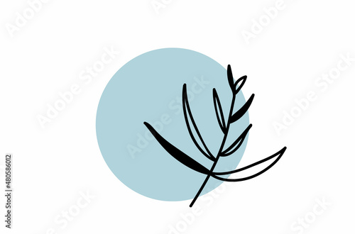 elegant twig and flower black outline. Element for design. Botanical floral element for creating invitations or greetings for spring holidays or wedding. Vector illustration