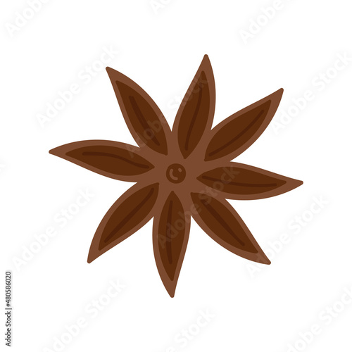anise asterisk doodle isolated on white background. Essential oil and medicinal plant. Fragrant spice for food, decoration and flavoring. Universal design. Vector illustration, hand drawn
