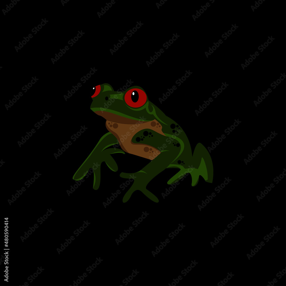 frog vector illustration frog vector illustration