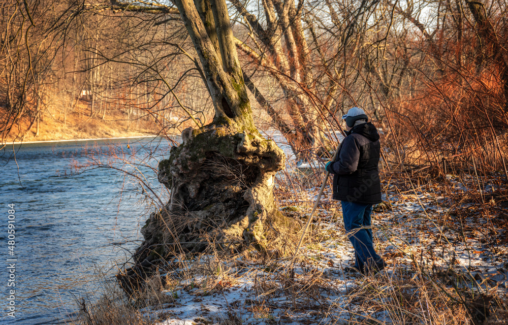Naklejka premium A woman stands along the Susquehanna River in January. Strange roots on the tree along the river, probably because of the years of flooding that have occurred here.