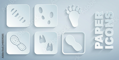 Set Camel paw footprint, Bear, Human footprints shoes, and icon. Vector