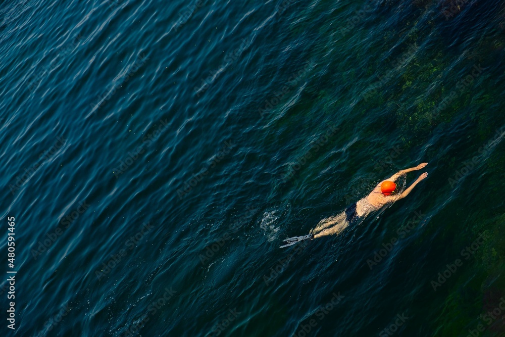 Fototapeta premium Swimmer