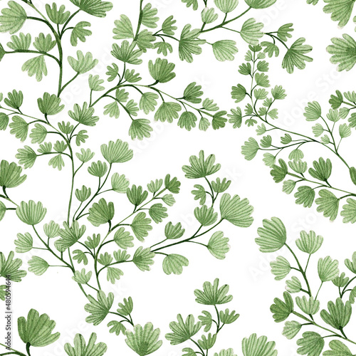 Watercolor Seamless pattern with different ferns.