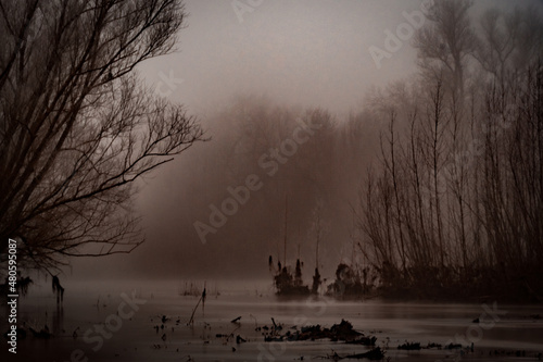 Pris dans le brouillard le fleuve en hiver photo