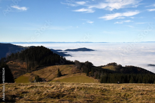 Berge im Schwarzwald zwischen Nebelschwaden