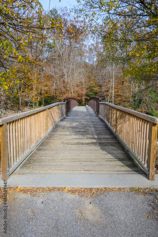 Bridge on a Walking Trail in Pocahontas Park, Virginia