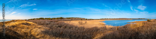Hilly coastal sand dunes covered with bare tree bushes and golden grasses. Pristine landscape of wildlife sanctuary lagoon next to the South Cape Beach in the Atlantic Ocean. Aerial view panorama.