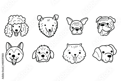 Dog face doodle. Dog breeds hand drawn. Pomeranian, labrador, collie, sheltie, bulldog, poodle, akita, husky head. Stock vector vet illustration on a white background.
