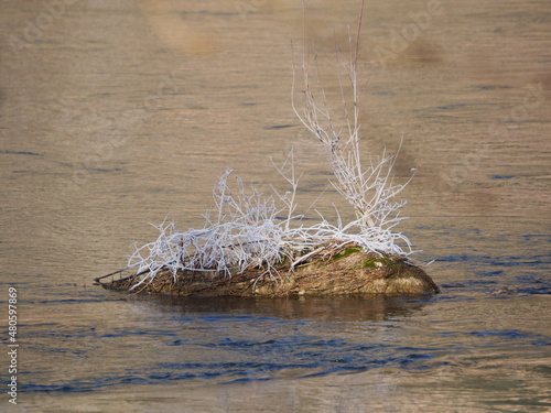 imágenes de la  naturaleza del río segre congelada una mañana fria de invierno, camarasa, lérida, españa, europa   photo