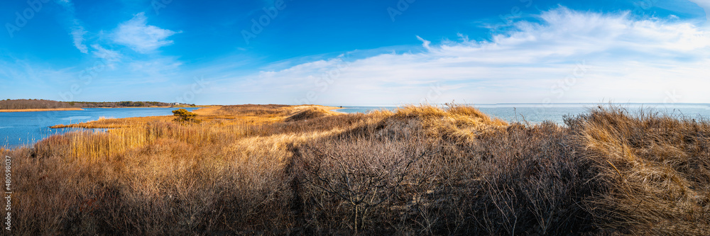 Fototapeta premium Dramatic clouds in the blue sky, lagoon, and ocean, and bare bushes and golden grasses on the hilly sand dune beach on Cape Cod. Pristine landscape of wildlife sanctuary in Mashpee, Massachusetts.