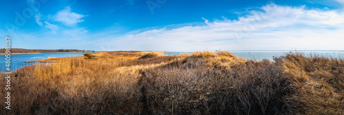 Dramatic clouds in the blue sky, lagoon, and ocean, and bare bushes and golden grasses on the hilly sand dune beach on Cape Cod. Pristine landscape of wildlife sanctuary in Mashpee, Massachusetts.