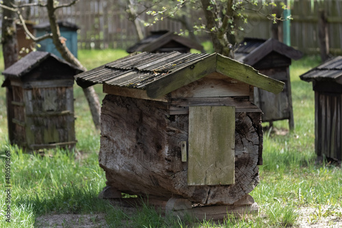 Wooden beehives for bees on green grass with yellow flowers. Old honey bee apiary. Spring countryside view. © PhotoRK