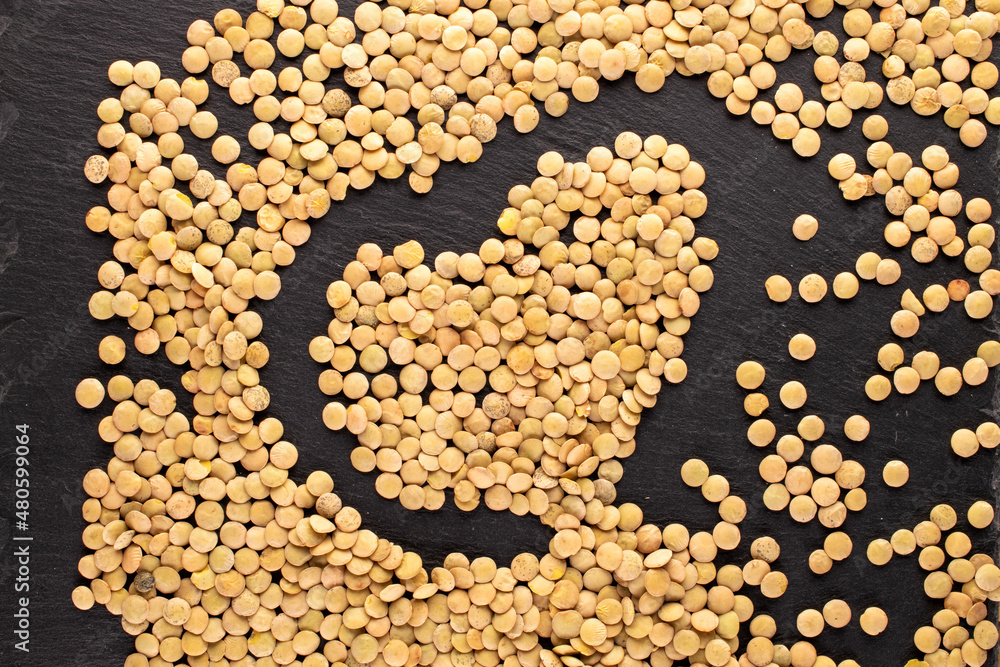 Uncooked organic green lentils on a slate stone, macro, top view.