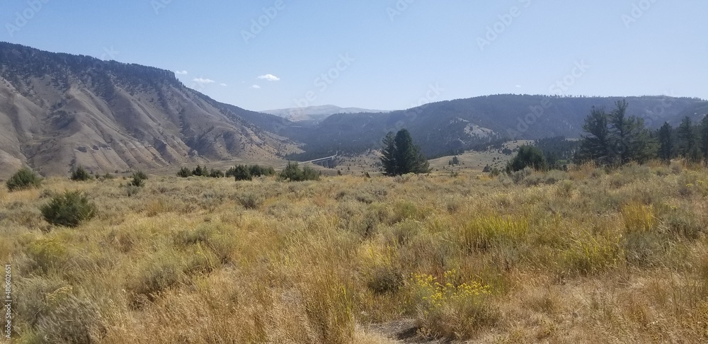 Abroska range landscape, Yellowstone National Park, wyoming