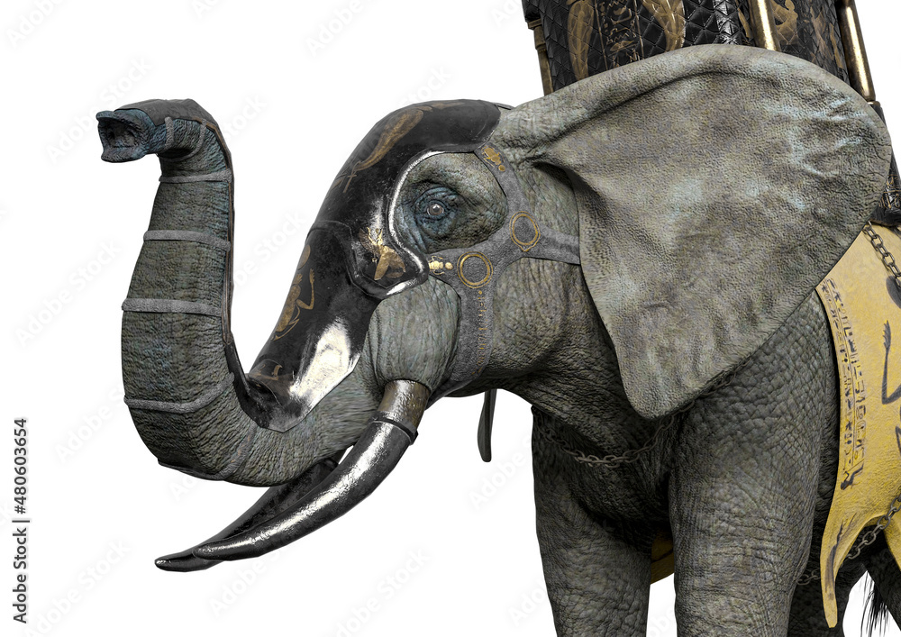 Obraz premium elephant warrior id profile picture side view