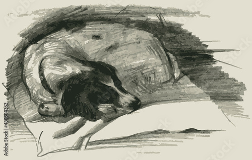 Pencil sketch of sleeping spaniel dog