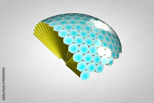 Tablou pe pânză Compound eye 3D illustration, insect eyes