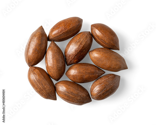 Unshelled pecan nuts isolated on a white background. Group of whole unpeeled pecans cutout. Macro of Carya illinoinensis tree fresh tasty fruits. Antioxidant, healthy eating concepts.