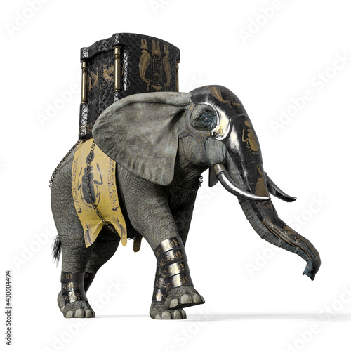 elephant warrior is walking