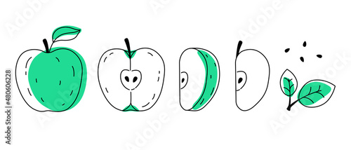 Green doodle apple outline with spots. Whole, pieces, seeds and leaves.