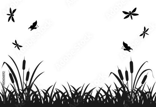 Black silhouette of marsh grass with flying insects, lake reed.