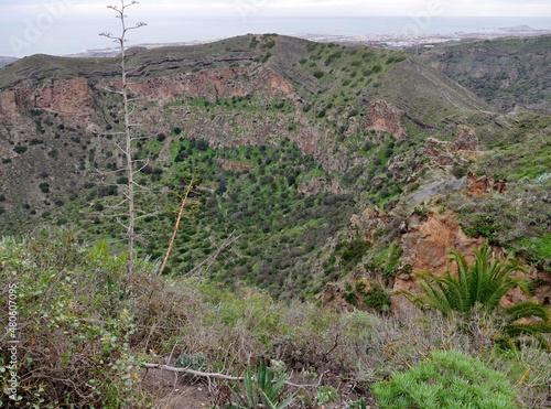 Bandama Caldera auf Gran Canaria photo