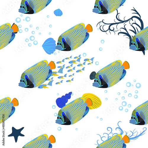 Emperor angelfish Pomacanthus imperator, sea animal wildlife character. Nature underwater, marine wild ocean zoo fish. animals bright seamless patterns.