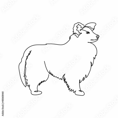 Continuous one simple single abstract line drawing of shetland sheepdog icon in silhouette on a white background. Linear stylized.