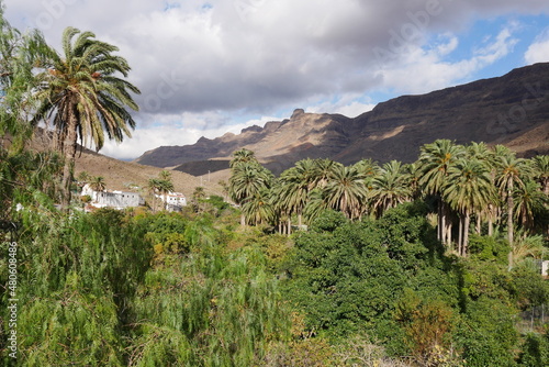 Oase Arteara auf Gran Canaria