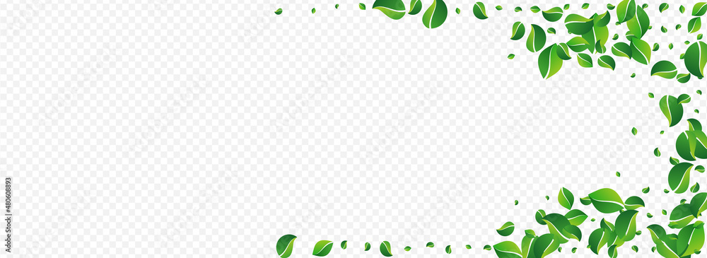 Forest Leaves Nature Vector Panoramic Transparent Forest Leaves Nature Vector Panoramic Transparent