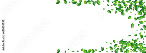 Forest Leaves Swirl Vector Panoramic White