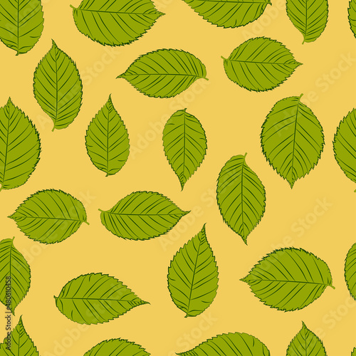 Leaves seamless patterns, elm leaves, vector grafic. 1000x1000
