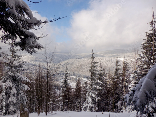 Winter on mountais trail photo