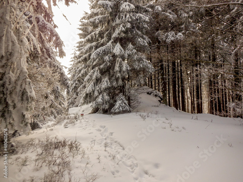 Winter on mountais trail photo