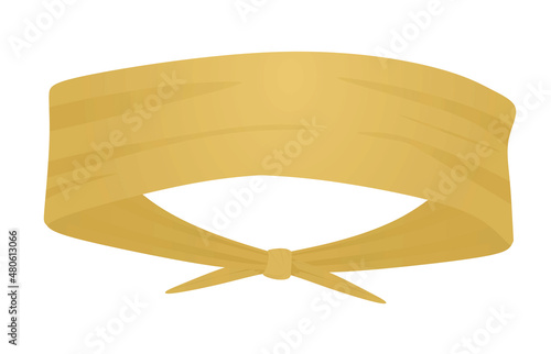 Brown  sport head band. vector illustration