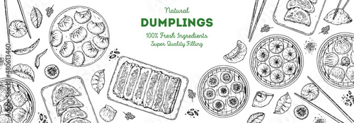 Dumplings top view frame. Food menu design template. Hand drawn vector illustration. Chinese dumplings. Vintage illustration. Hand drawn food sketch. Design template.