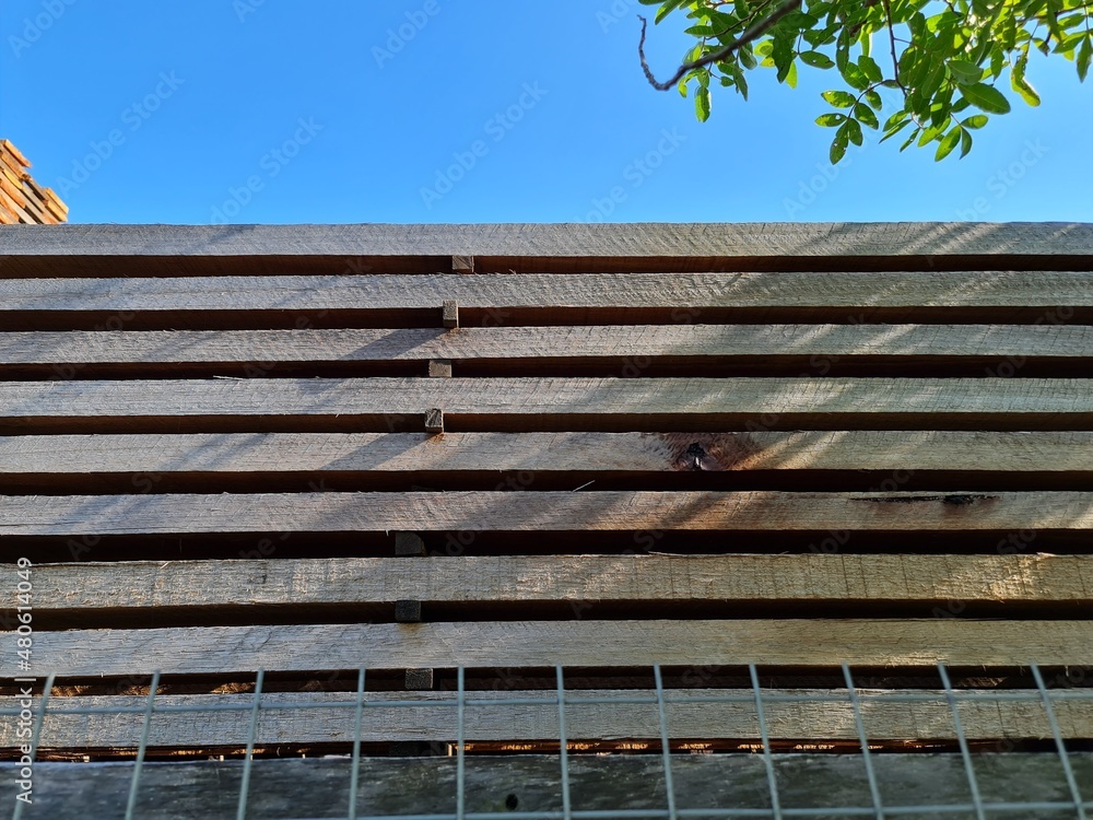 madeiras, tábuas cortadas madeiras, tábuas cortadas