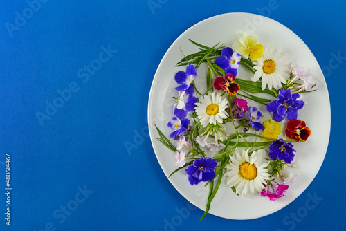 chamomile, phlox and violet flowers in a white frame on a blue background.
