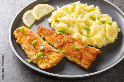 Photography Hot dinner of fried sea fish and mashed potatoes close-up in a plate on a concrete background